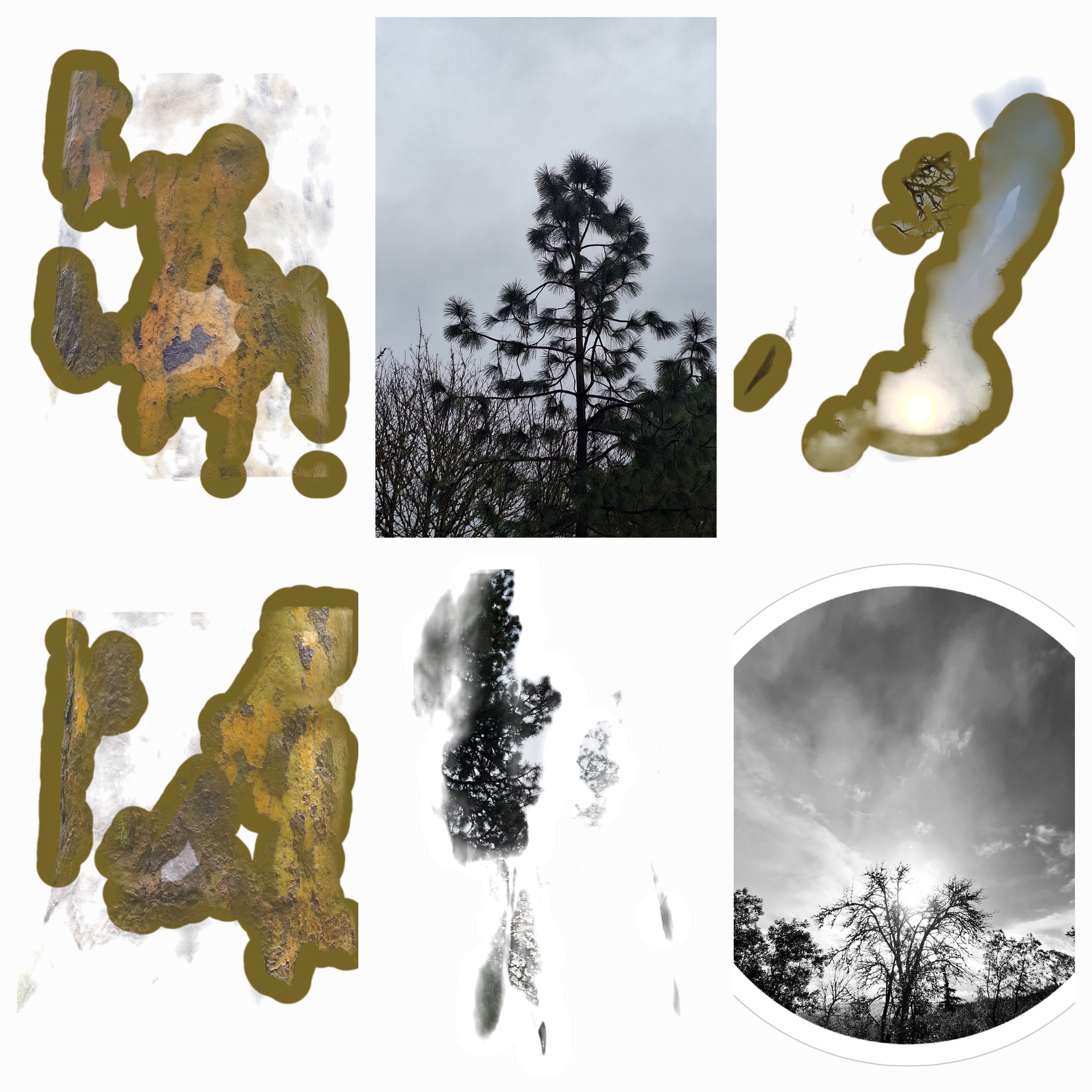 Psalm 9494:1 O Lord, the God who avenges!O God who avenges, reveal your splendor.94:2 Rise up, O judge of the earth.Pay back the proud.94:3 O Lord, how long will the wicked,how long will the wicked celebrate?94:4 They spew out threats and speak defiantly;all the evildoers boast.94:5 O Lord, they crush your people;they oppress the nation that belongs to you.94:6 They kill the widow and the resident foreigner,and they murder the fatherless.94:7 Then they say, “The Lord does not see this;the God of Jacob does not take notice of it.”94:8 Take notice of this, you ignorant people.You fools, when will you ever understand?94:9 Does the one who makes the human ear not hear?Does the one who forms the human eye not see?94:10 Does the one who disciplines the nations not punish?He is the one who imparts knowledge to human beings!94:11 The Lord knows that peoples’ thoughtsare morally bankrupt.94:12 How blessed is the one whom you instruct, O Lord,the one whom you teach from your law,94:13 in order to protect him from times of trouble,until the wicked are destroyed.94:14 Certainly the Lord does not forsake his people;he does not abandon the nation that belongs to him.94:15 For justice will prevail,and all the morally upright will be vindicated.94:16 Who will rise up to defend me against the wicked?Who will stand up for me against the evildoers?94:17 If the Lord had not helped me,I would soon have dwelt in the silence of death.94:18 If I say, “My foot is slipping,”your loyal love, O Lord, supports me.94:19 When worries threaten to overwhelm me,your soothing touch makes me happy.94:20 Cruel rulers are not your allies,those who make oppressive laws.94:21 They conspire against the blameless,and condemn to death the innocent.94:22 But the Lord will protect me,and my God will shelter me.94:23 He will pay them back for their sin.He will destroy them because of their evil;the Lord our God will destroy them.