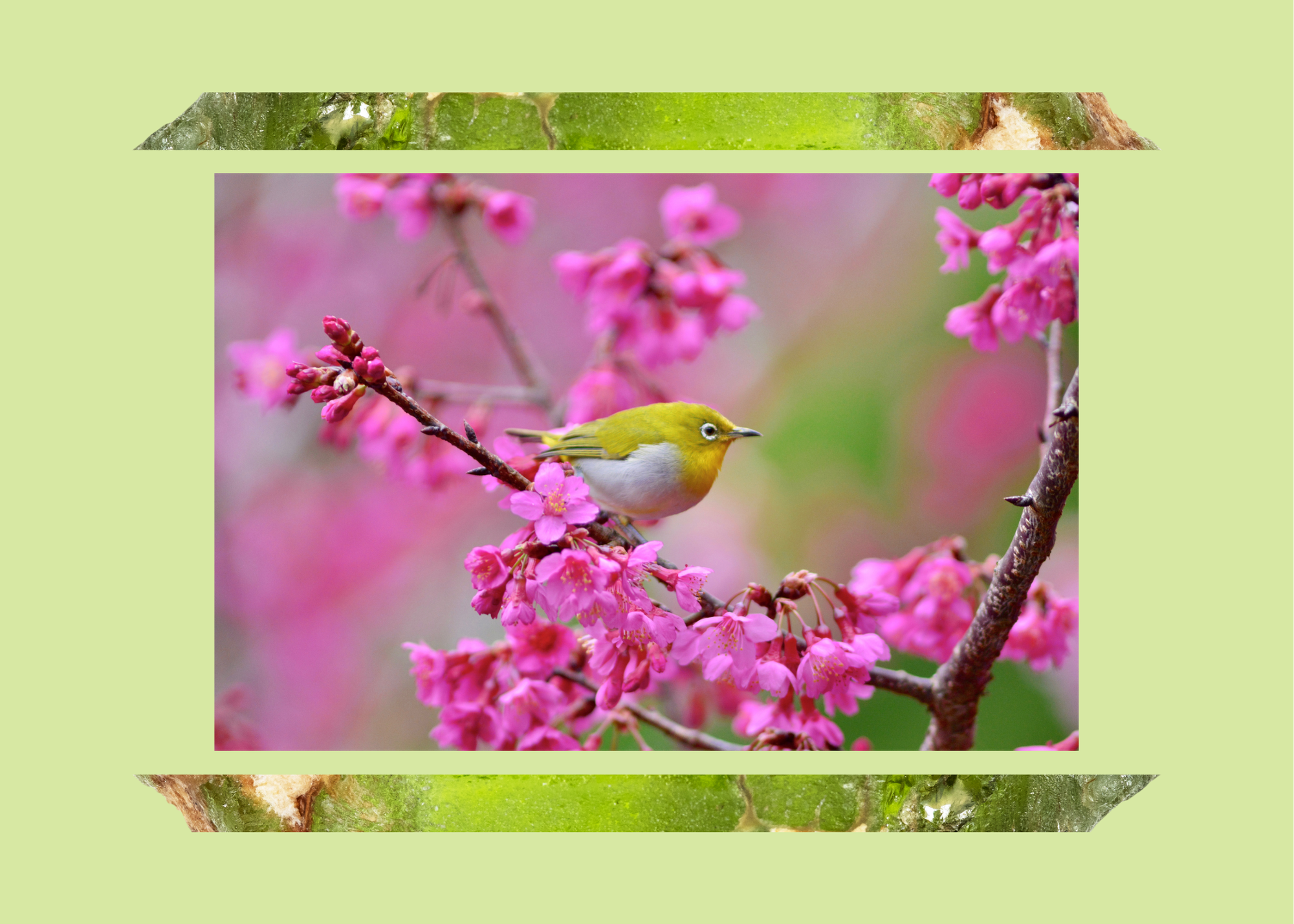 Waiting for the Power of God – Gary Wilkerson