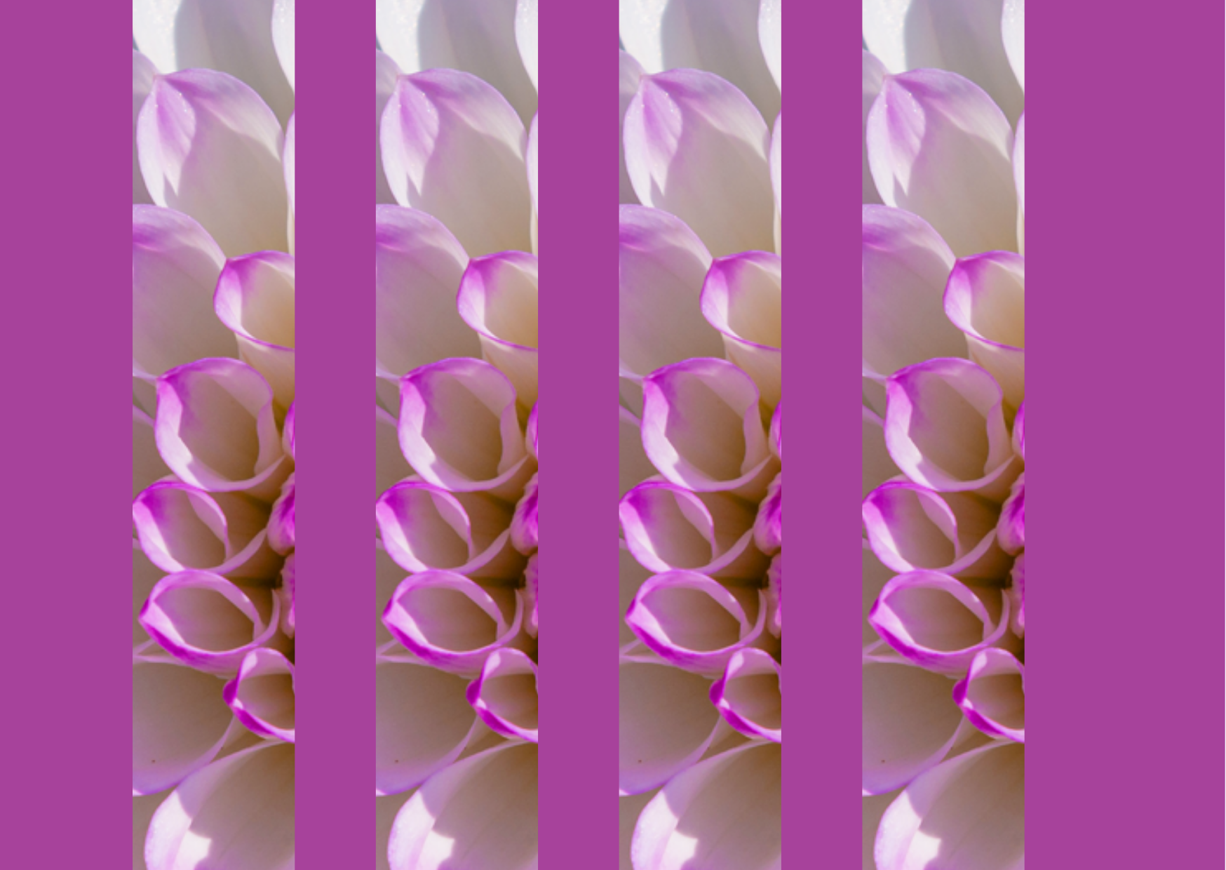 A look at scripture.