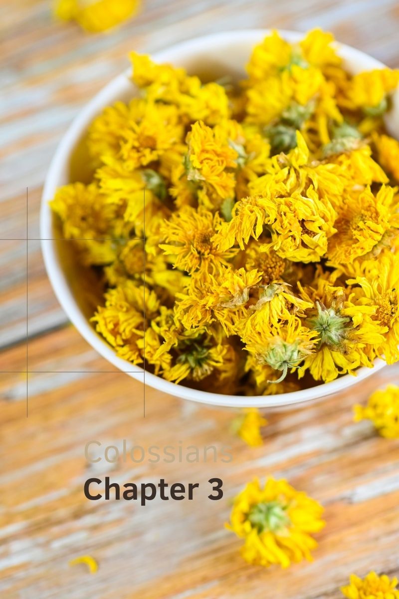Colossians chapter 3