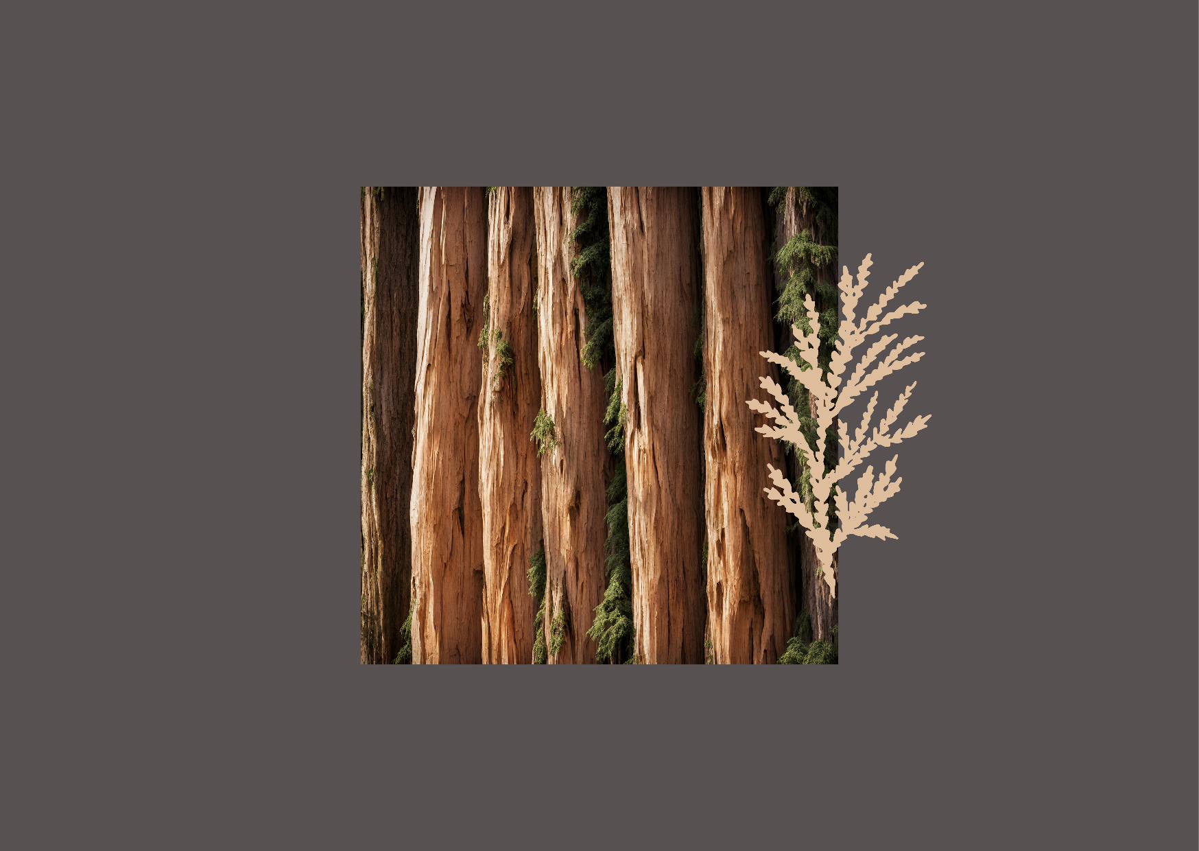 The Courage To Obey – Dr. Charles Stanley