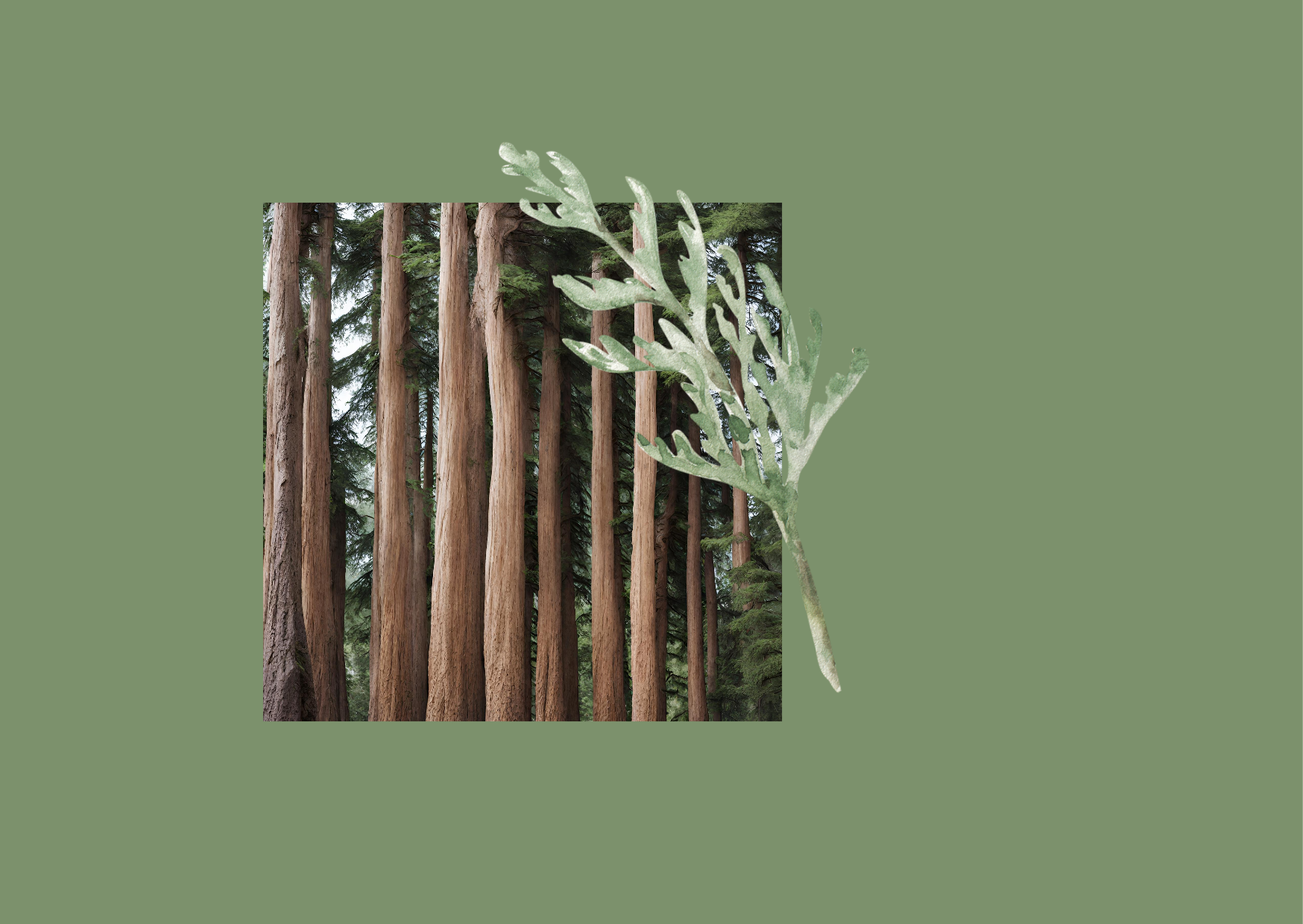 Remember – Student of the Word 1616