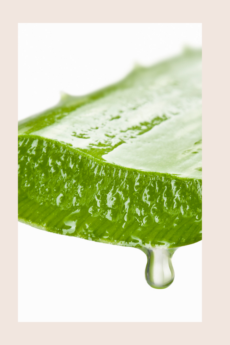 Confronting Conflict – Daily Devotional