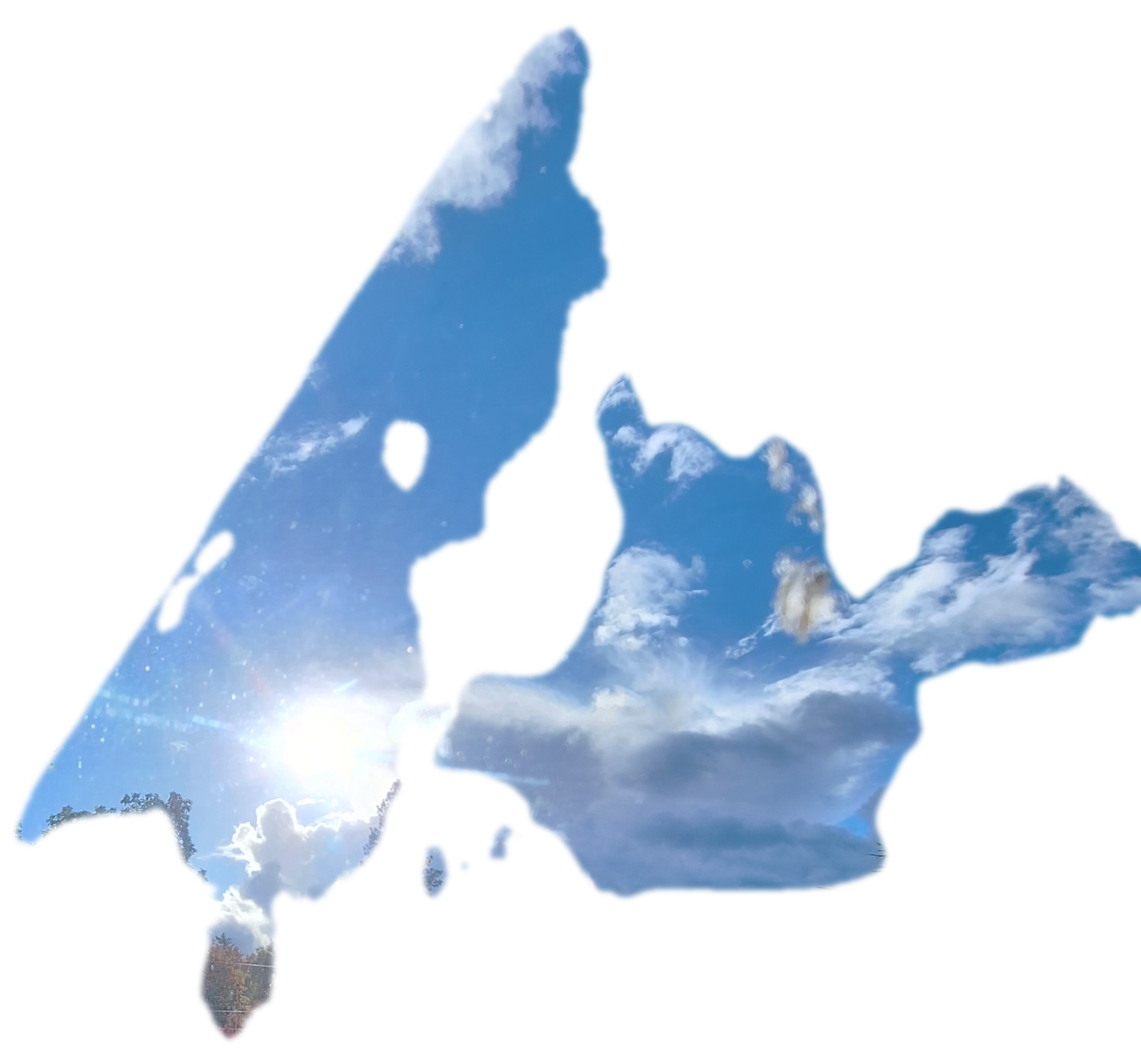 🚨 THS IS URGENT ‼️