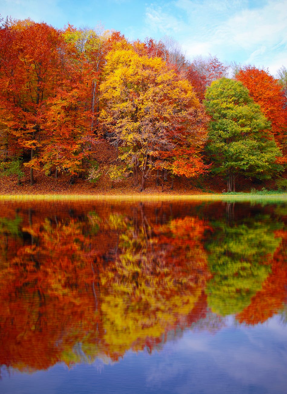 5 Lessons from the Book of Nehemiah – #TonyEvans #shorts #TonyEvansShorts