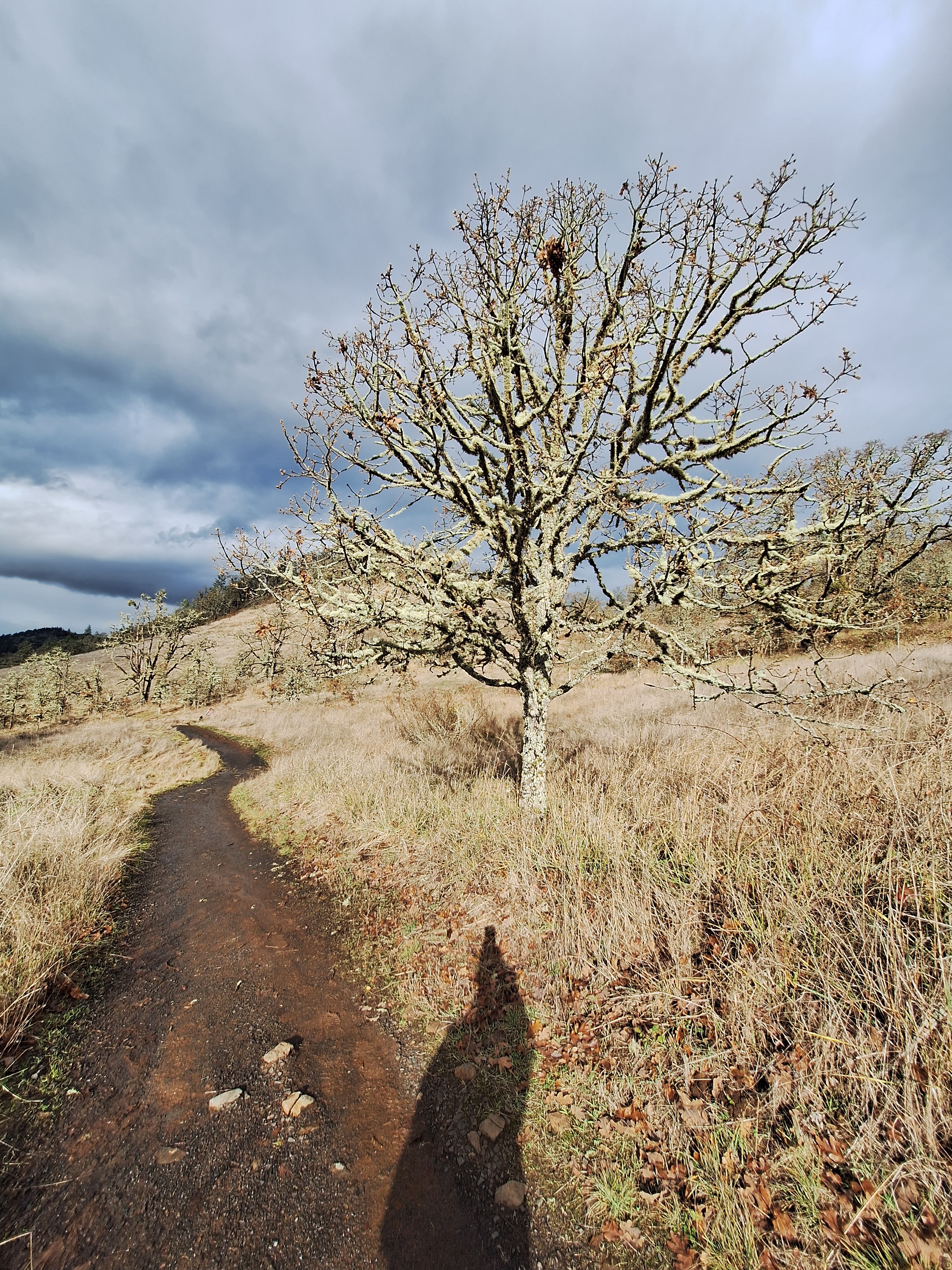 Squalls and a lit path.