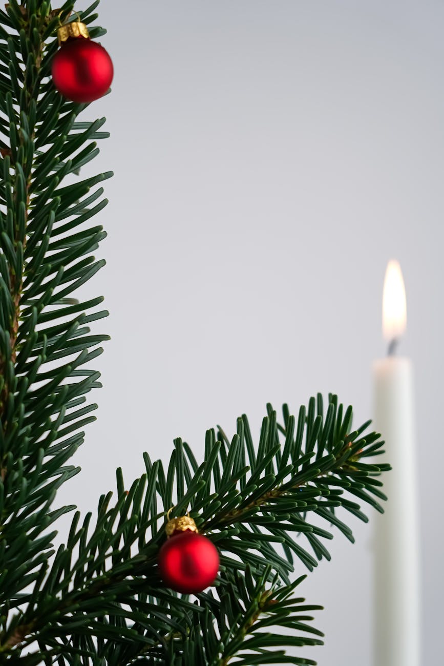 The Bible Collection: Genesis