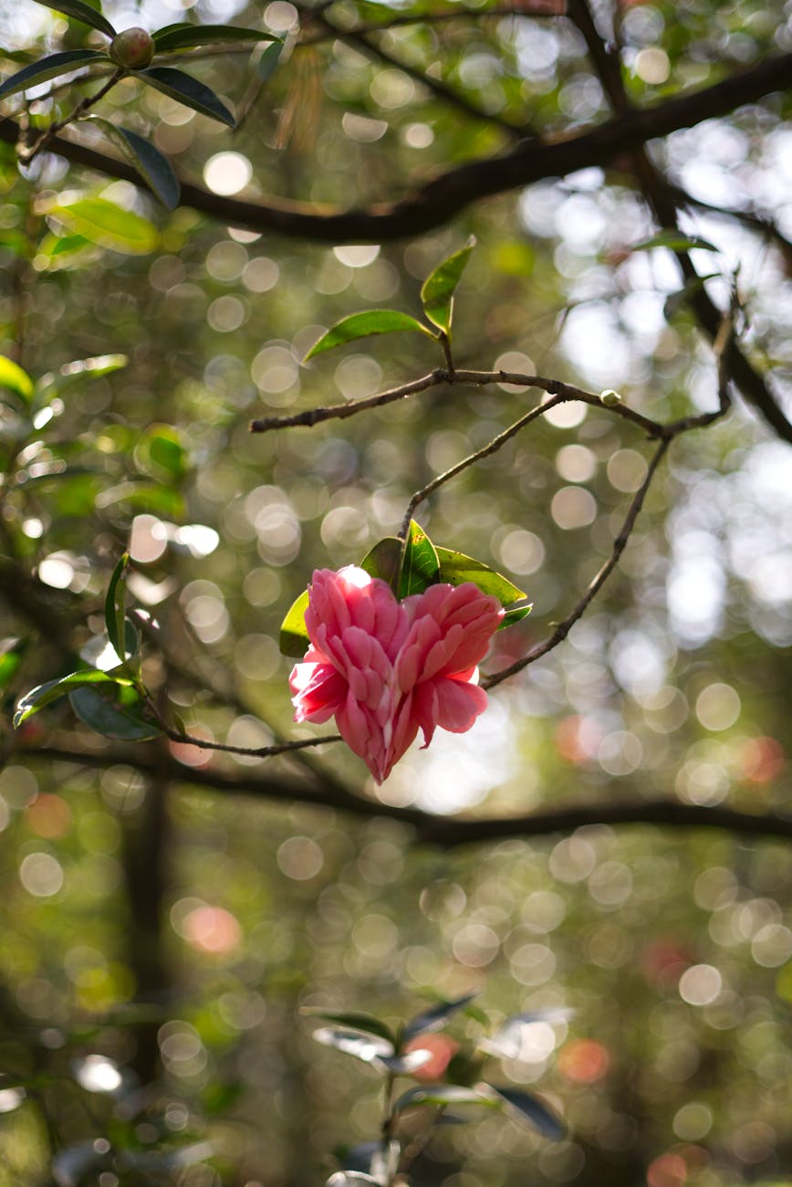 The benefits of wisdom