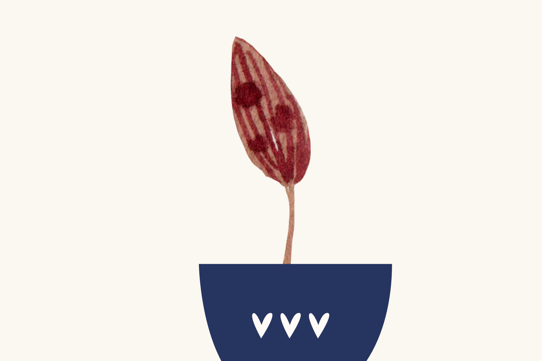 A Person God Can Use – Daily Devotional