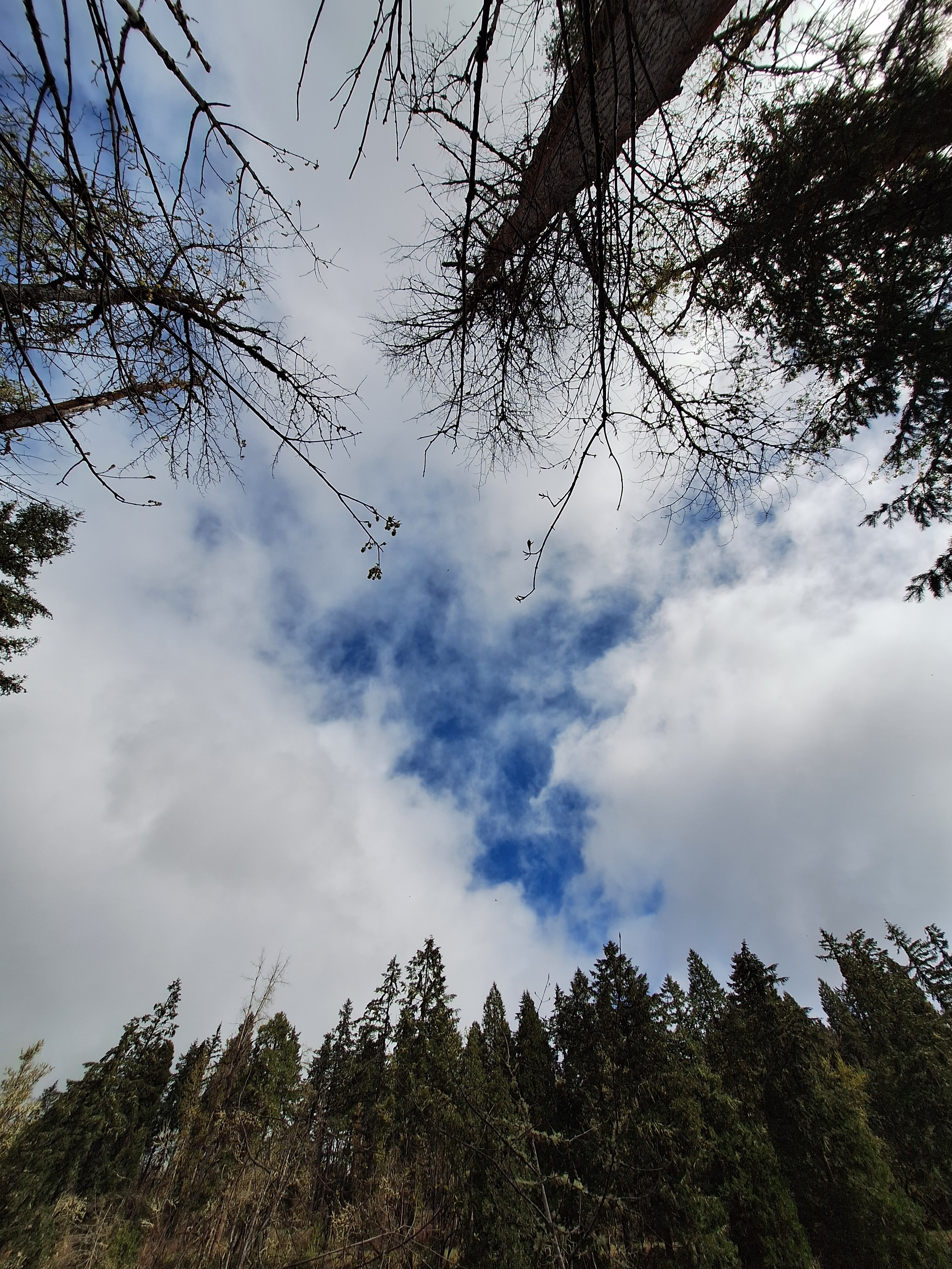 Rememberance and Resurrection- Easter 2025