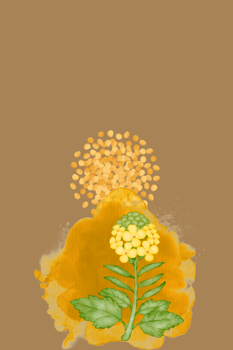 The parable of the mustard seed.