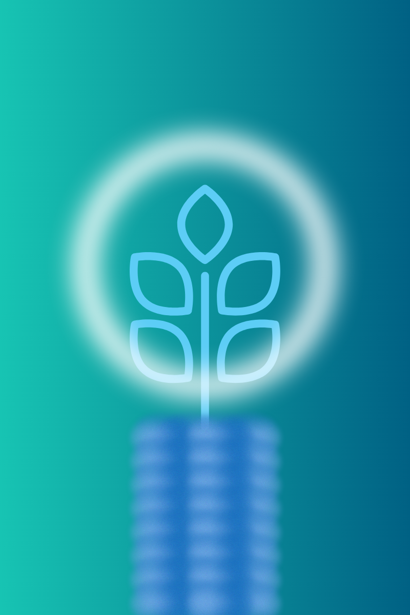 The righteous loveth.