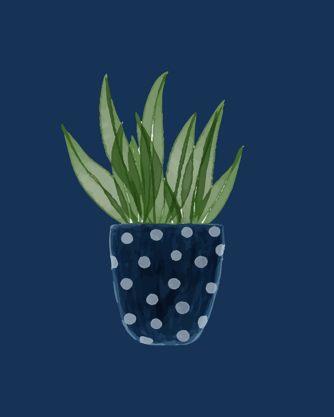 AE@amosandellie/YouTube